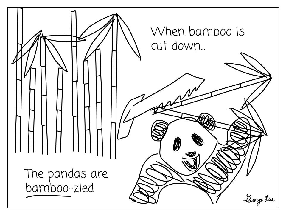 When bamboo is cut down...the pandas are bamboo-zled